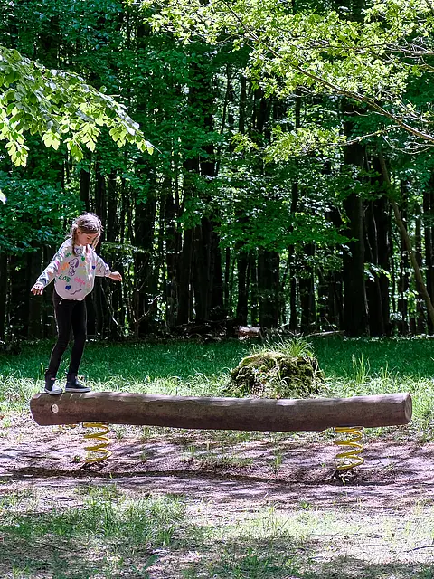 Ein junges Mädchen steht auf einem dicken Holzstamm in einem Wald. Um sie herum ist eine grüne, baumreiche Umgebung zu sehen. Der Stamm ist auf Federn gelagert, was ihm eine elastische Bewegung ermöglicht. Der Boden ist mit Gras und Erde bedeckt.