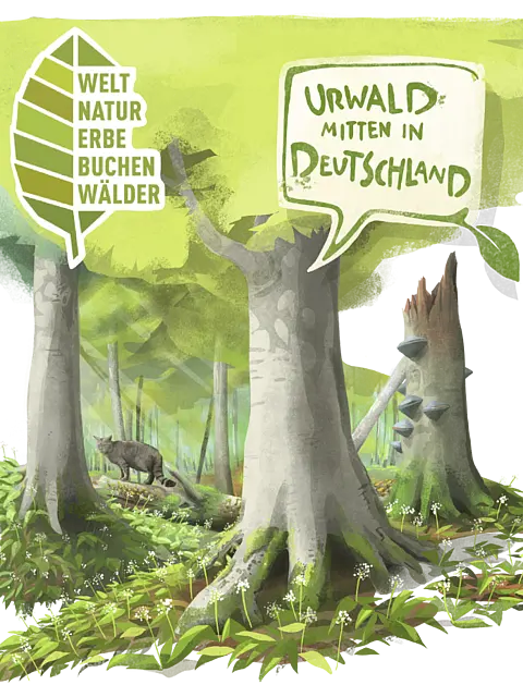 Eine stilisierte Waldszene mit hohen Bäumen, üppiger Vegetation und einer kleinen Tierfigur im Vordergrund. Über den Bäumen schwebt ein Sprechblasen-Element mit dem Text „Urwald mitten in Deutschland“ sowie einem Logo, das auf das Weltkulturerbe der Buchenwälder hinweist.