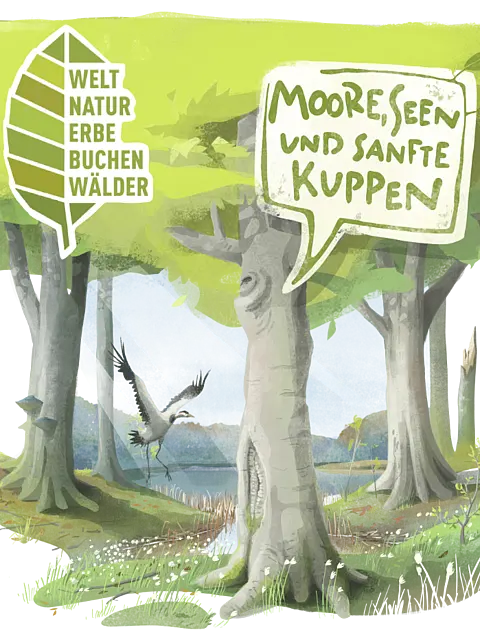 Eine grafische Darstellung mit dem Text „Welt Naturerbe Buchenwälder“ und „Moore, Seen und sanfte Kuppen“ auf Sprechblasen. Im Hintergrund sind grüne Bäume und ein Gewässer zu sehen, während ein Vogel über das Wasser fliegt. Das Bild betont die natürliche Schönheit dieser Landschaft.